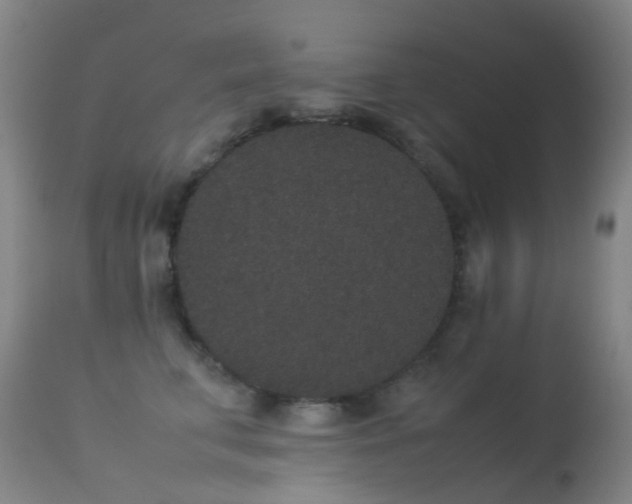 X0000113260711200909171650