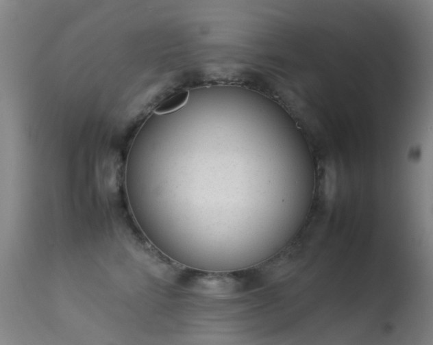 X0000113260712200909171650