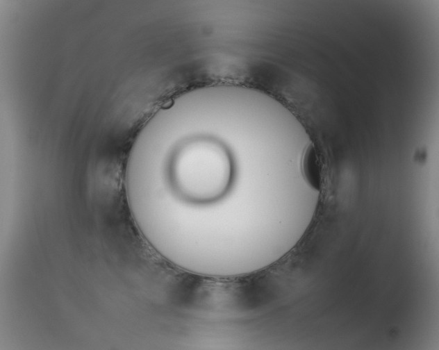 X0000113260713200909171650