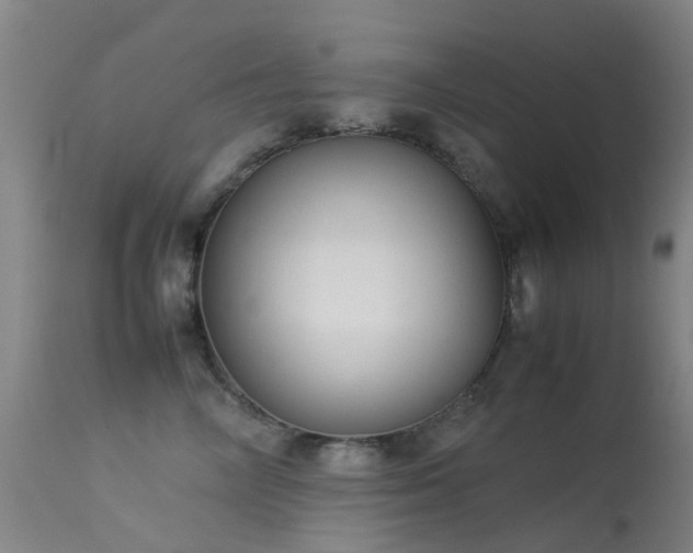 X0000113260714200909171650