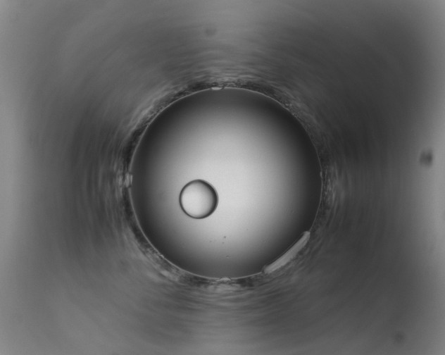 X0000113260716200909171649