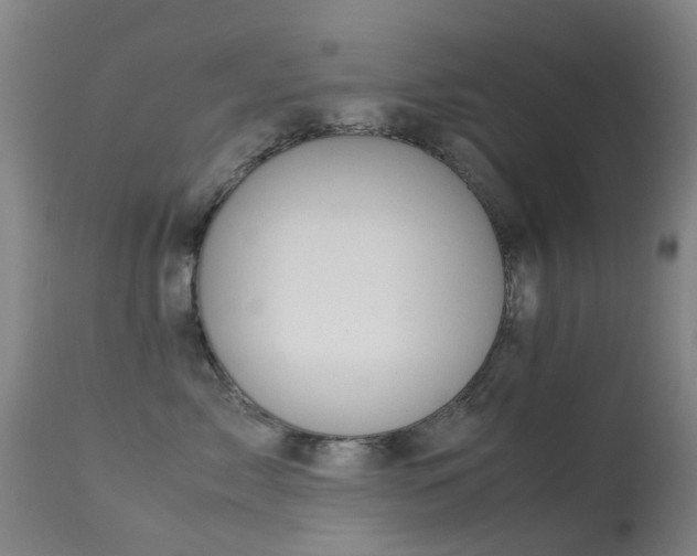 X0000113260717200909171649