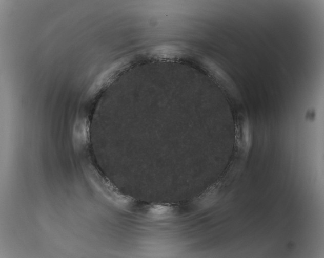 X0000113260718200909171649