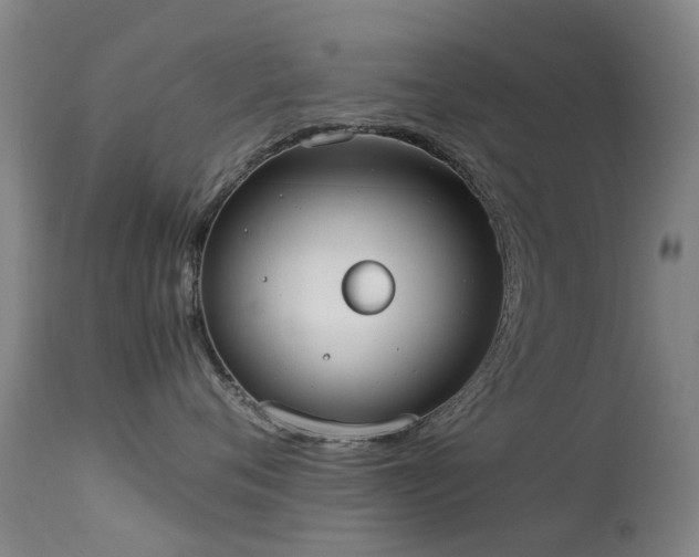 X0000113260720200909171649