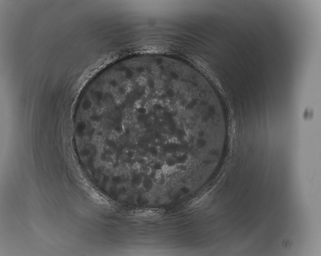 X0000113260721200909171649