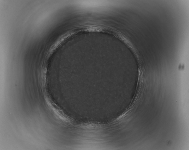 X0000113260722200909171649