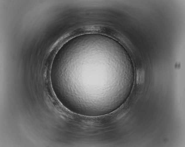 X0000113260723200909171649