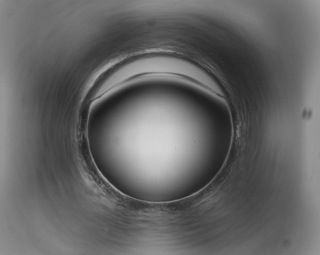 X0000113260724200909171649