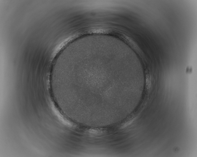 X0000113260725200909171649