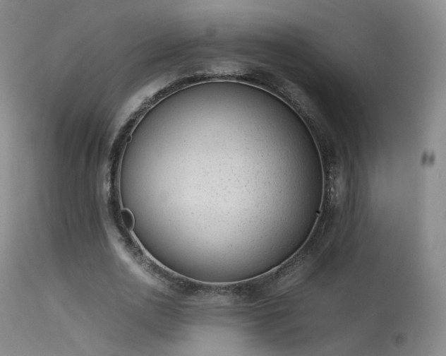 X0000113260726200909171649