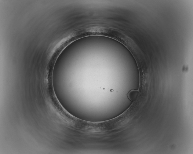 X0000113260727200909171649