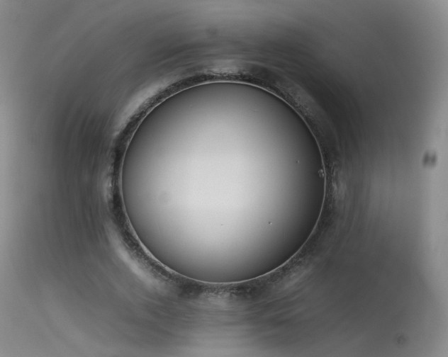 X0000113260728200909171649