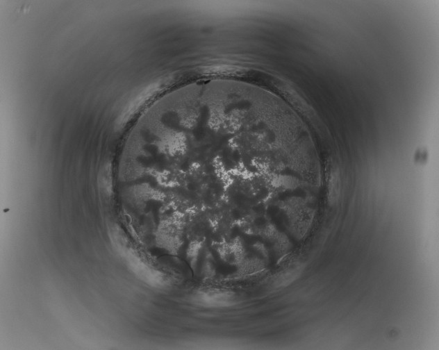 X0000113260729200909171649