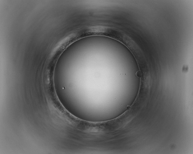 X0000113260731200909171649