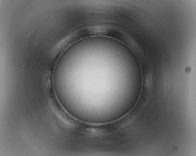 X0000113260733200909171649