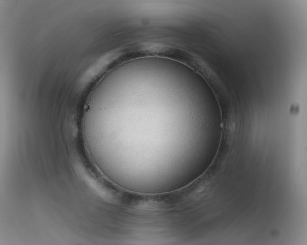 X0000113260734200909171649