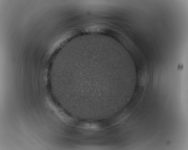 X0000113260735200909171649