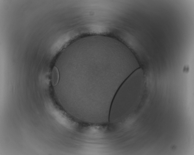 X0000113260736200909171649