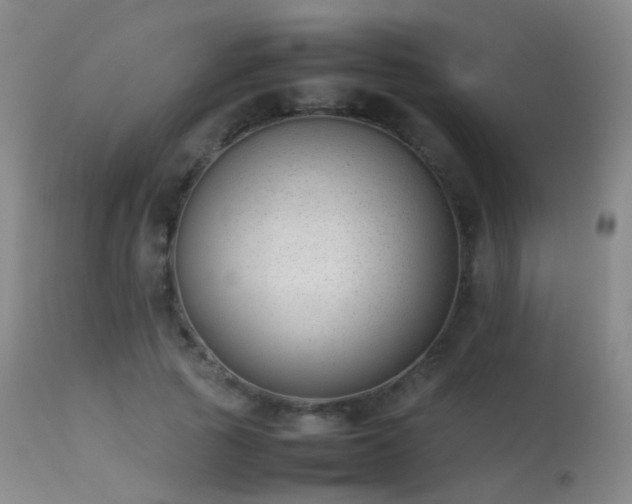 X0000113260737200909171649