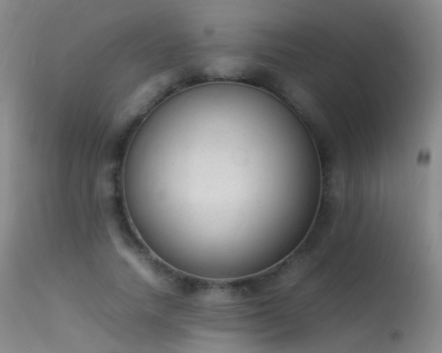 X0000113260738200909171649