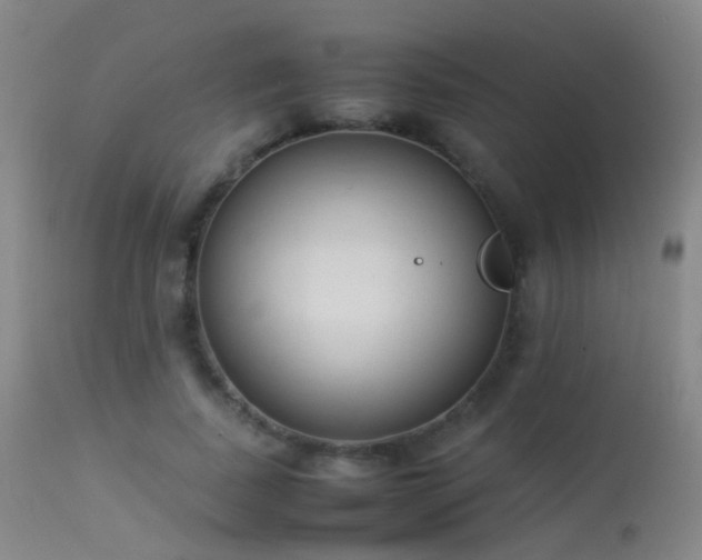 X0000113260739200909171649