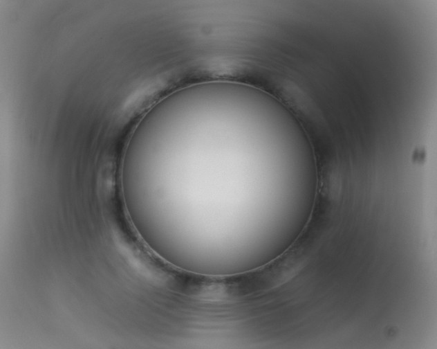 X0000113260740200909171649