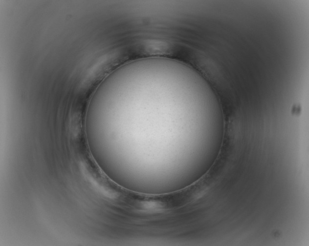 X0000113260741200909171649