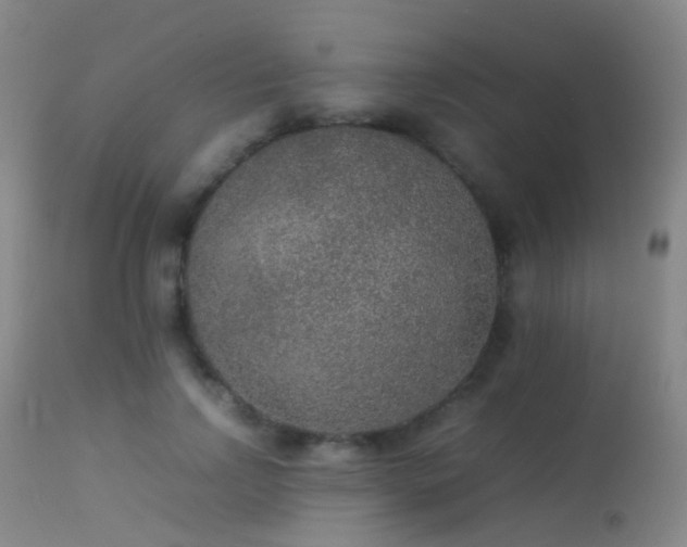 X0000113260742200909171649