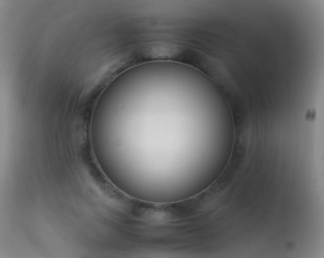 X0000113260743200909171649