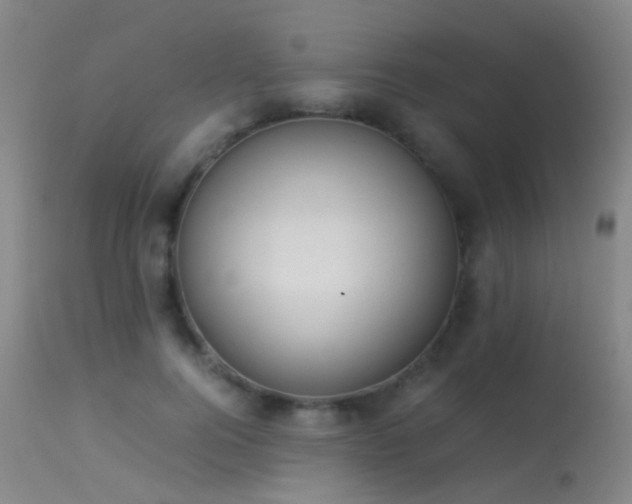 X0000113260744200909171649