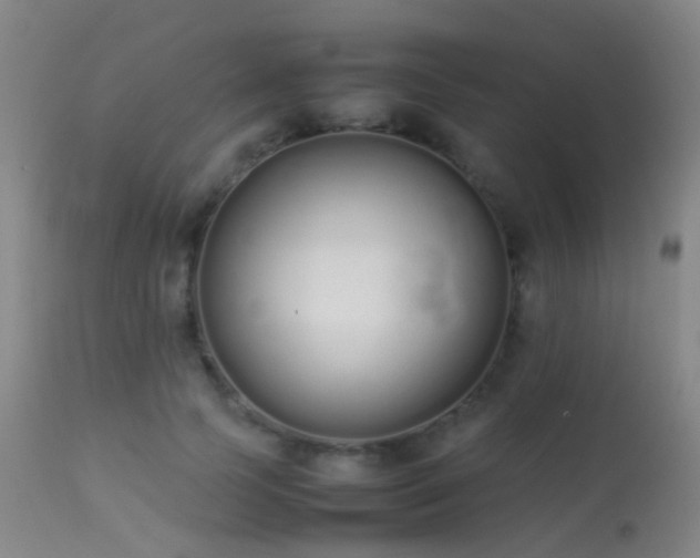 X0000113260745200909171649