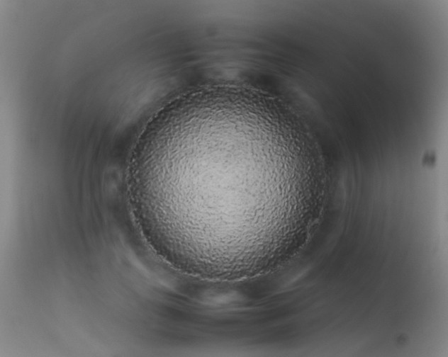 X0000113260747200909171649