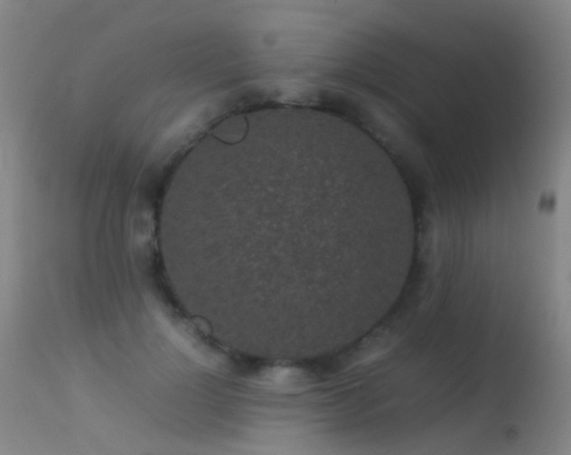 X0000113260748200909171649