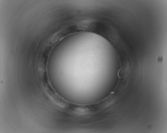 X0000113260749200909171649