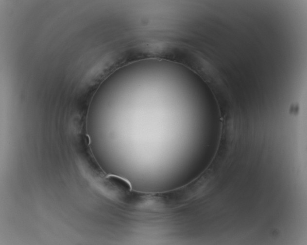 X0000113260750200909171649