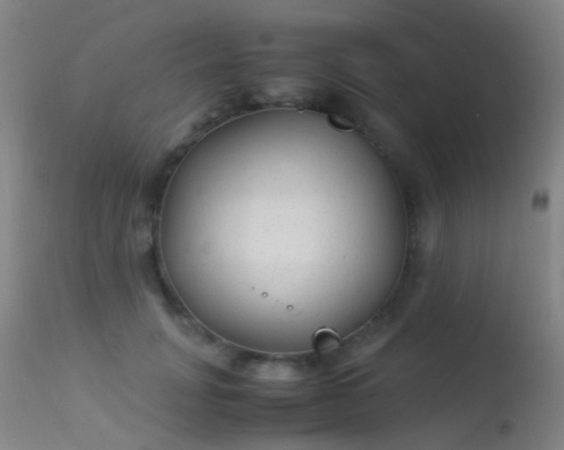 X0000113260751200909171649