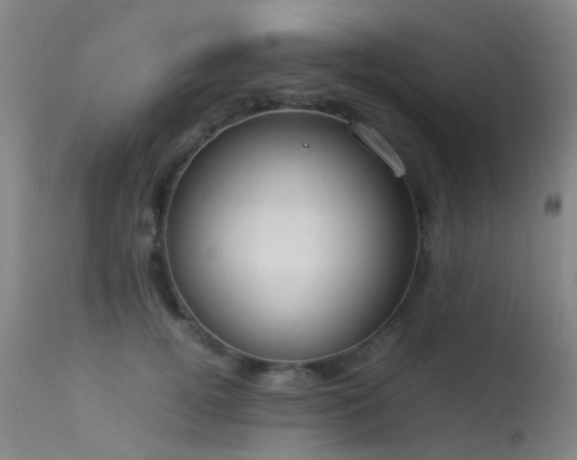 X0000113260752200909171649