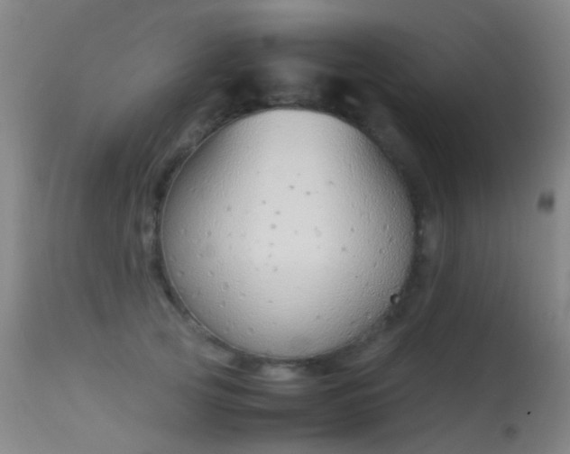 X0000113260753200909171649