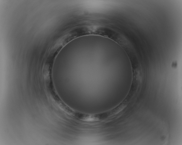 X0000113260754200909171649