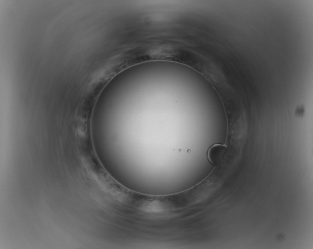 X0000113260755200909171649