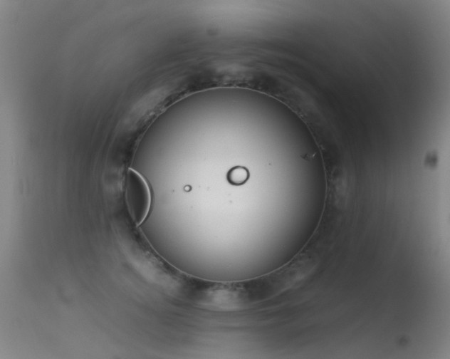 X0000113260756200909171649