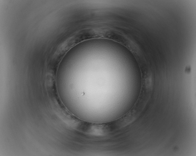 X0000113260757200909171649