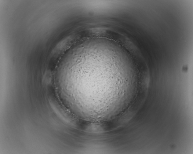 X0000113260758200909171649