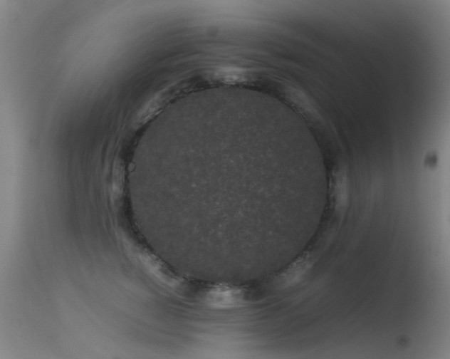 X0000113260760200909171649