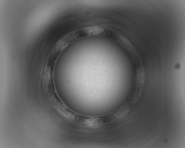 X0000113260761200909171649