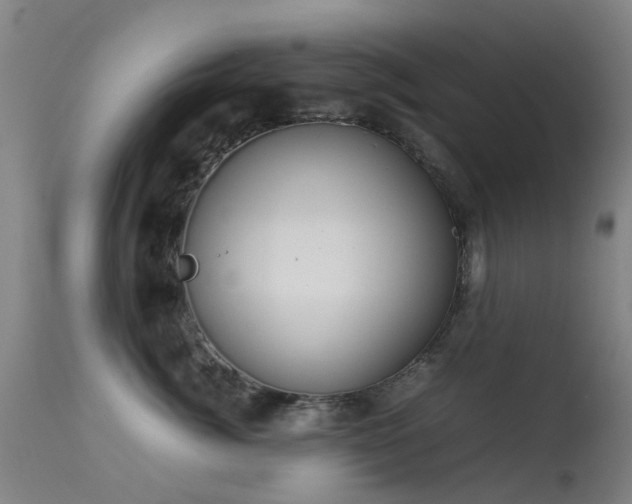 X0000113260764200909171649