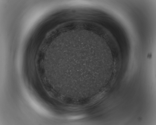 X0000113260765200909171649