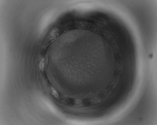 X0000113260766200909171649