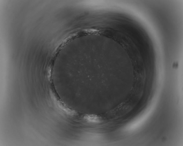 X0000113260767200909171649