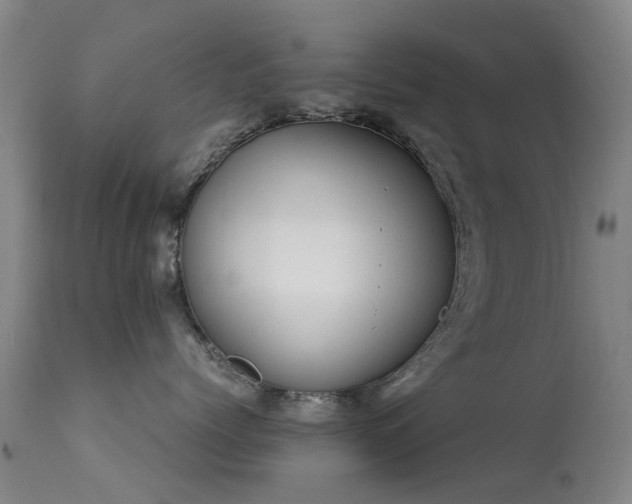 X0000113260768200909171649